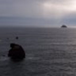 Meet your Posher, Tomi